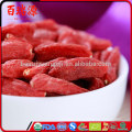 Low calorie goji china goji goji berry dried